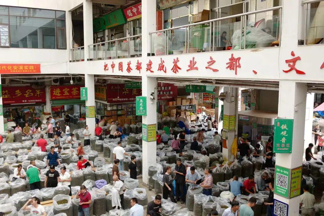 冷秋的一杯,为什么一定要是桂花香?