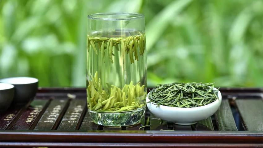 中国十大名茶有哪些?经典名茶品种与产地特点介绍
