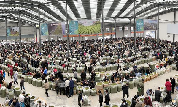 浙江浙南茶叶市场的成功之路 - 中国茶叶流通协会
